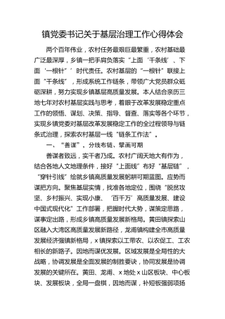 乡镇书记关于基层治理工作心得体会（发言）