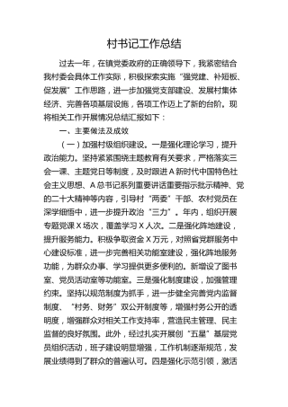 村书记工作总结