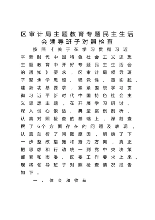 审计系统2023年度主题教育专题民主生活会班子对照检查9000字（含政绩观剖析）
