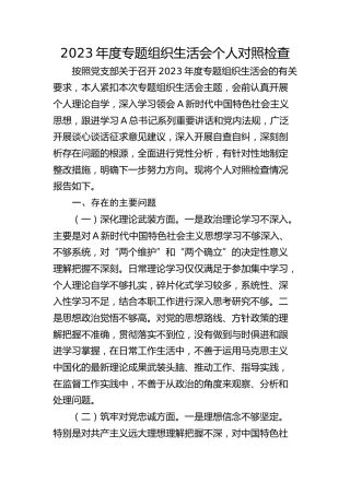2023年度专题组织生活会个人对照检查2800字