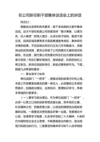 在公司新任职干部集体谈话会上的讲话4000字