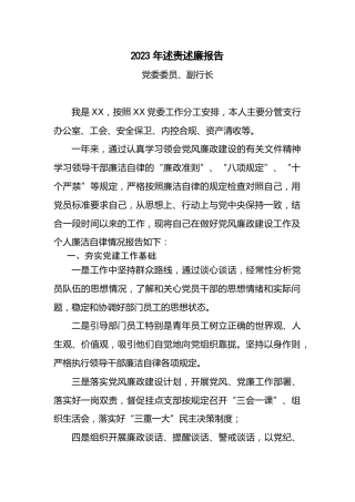 银行副行长2023年述责述廉报告