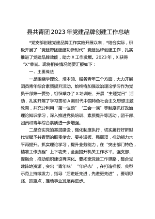 县共青团2023年党建品牌创建工作总结