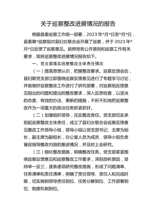 妇联巡察整改进展情况报告（7700字总结）