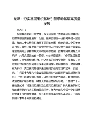 党课：夯实基层组织基础 引领带动基层高质量发展