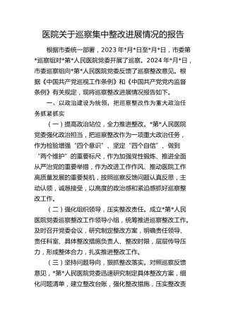医院巡察集中整改进展情况总结报告8500字