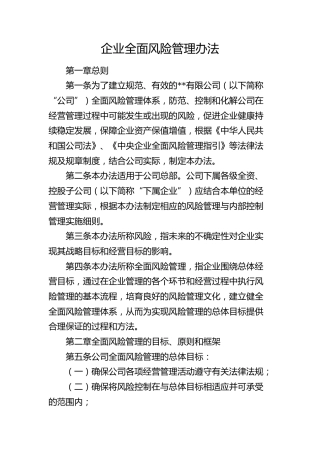 公司全面风险管理办法