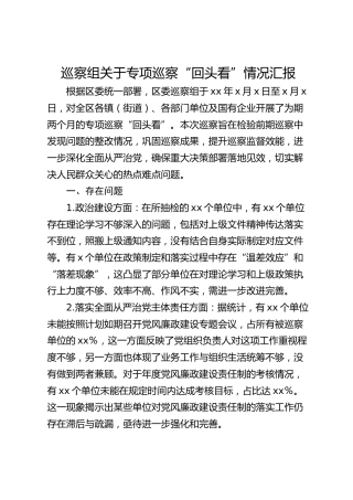 巡察组关于专项巡察“回头看”情况总结汇报