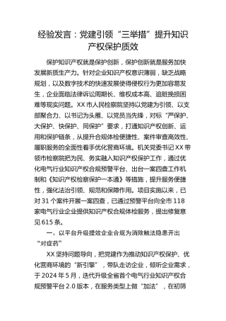 经验发言：党建引领“三举措”提升知识产权保护质效