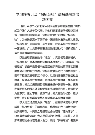 研讨发言：以“枫桥经验”谱写基层善治新画卷