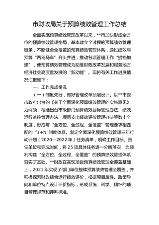 市财政系统预算绩效管理工作总结