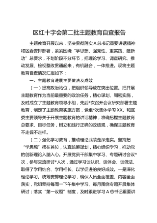 区红十字会第二批主题教育自查报告（2200字总结）