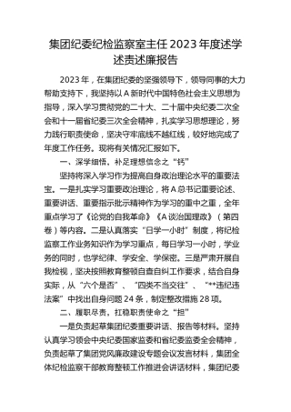 公司纪委纪检监察室主任2023年度述学述责述廉报告2100字