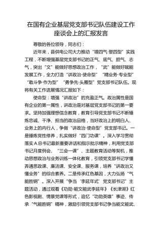 供电公司在党支部书记队伍建设工作座谈会上的汇报发言