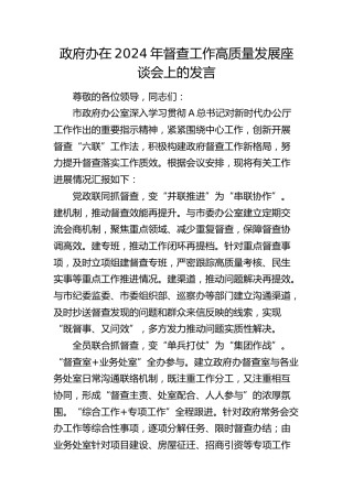 政府办在2024年督查工作高质量发展座谈会上的发言