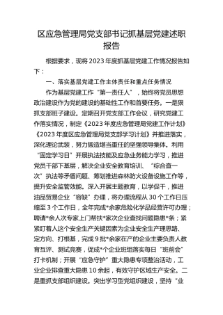 区应急管理局党支部书记抓基层党建述职报告（落实基层党建工作主体责任和重点任务、意识形态、党风廉政建设责任制三个方面）
