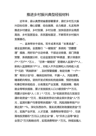 推进乡村振兴典型经验总结