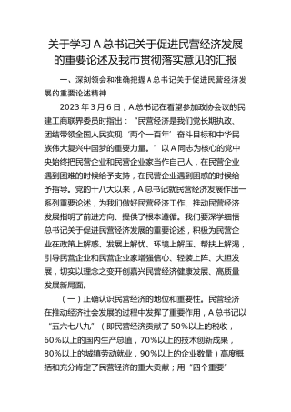 贯彻总书记关于促进民营经济发展的重要论述及我市落实意见的汇报