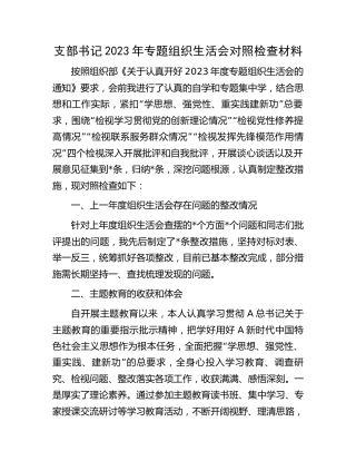 支部书记2023年主题教育专题组织生活会对照检查4000字（创新理论、党性修养、联系服务群众、发挥先锋模范作用四方面）