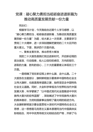 党课：凝心聚力勇担当  砥砺奋进谱新篇  为推动全区高质量发展贡献一份力量