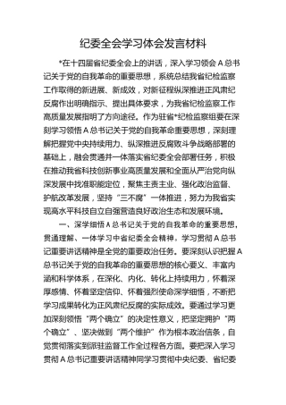 纪委全会学习心得体会发言