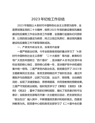 2023年纪检工作总结2800字