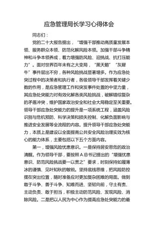 应急管理局长学习心得体会（发言）