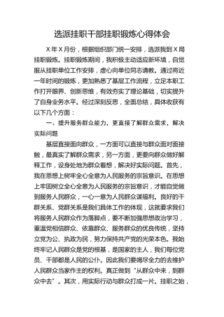 选派挂职干部挂职锻炼心得体会（发言）