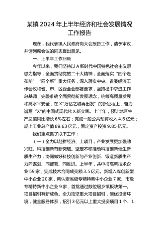 乡镇2024年上半年经济和社会发展情况工作报告