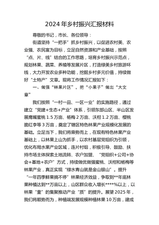 2024年乡村振兴总结汇报（乡镇街道）
