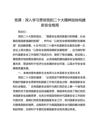 党课：深入学习贯彻二十大精神 加快构建新安全格局