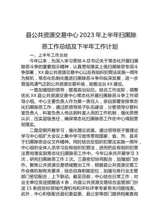 县公共资源交易中心2023年上半年扫黑除恶工作总结及下半年工作计划