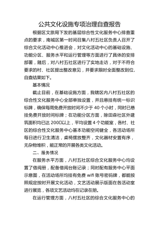 公共文化设施专项治理自查报告