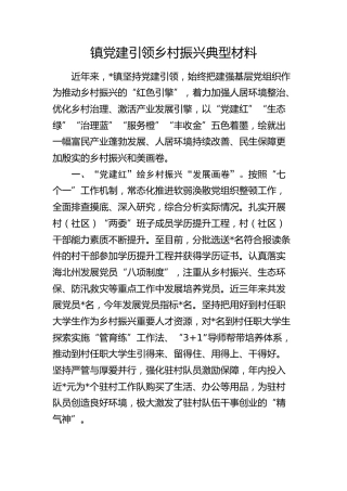 乡镇党建引领乡村振兴典型材料