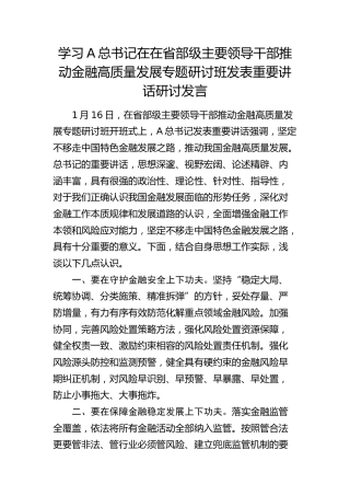 总书记在省部级主要领导干部推动金融高质量发展专题研讨班开班式上重要讲话研讨发言2