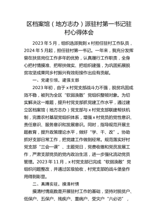 区档案馆（地方志办）派驻村第一书记驻村心得体会（发言）