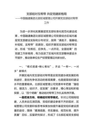 党支部结对帮带工作经验总结3000字