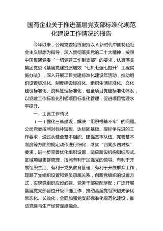 国企公司推进基层党支部标准化规范化建设工作情况报告
