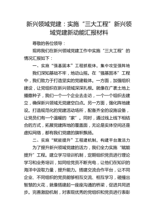 实施“三大工程” 新兴领域党建新动能汇报