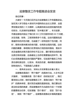 巡察整改工作专题推进会发言（提要求讲话）