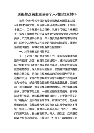 巡视整改民主生活会个人对照检查材料素材