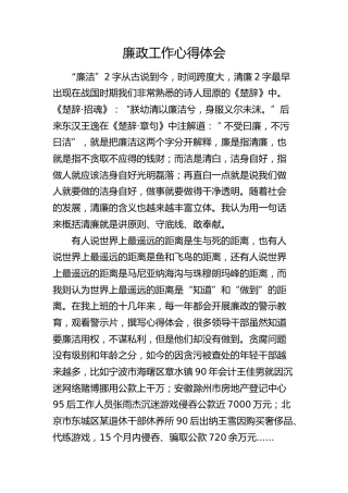 廉政工作心得体会（发言）