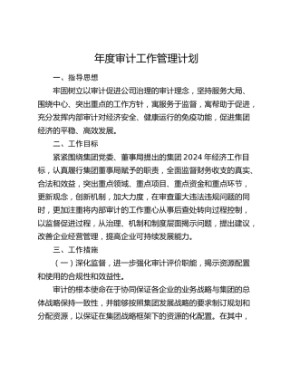 公司审计工作管理计划