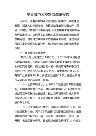 县城市公交发展调研报告