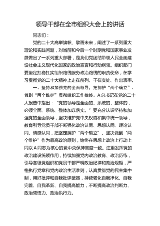 领导干部在全市组织大会上的讲话提纲