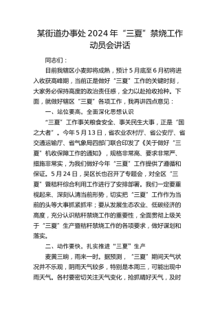 街道办事处2024年“三夏”禁烧工作动员会讲话