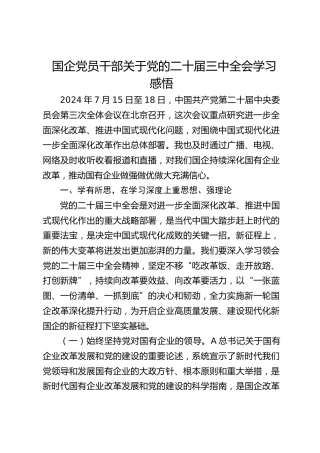 国企公司二十届三中全会学习心得体会发言2500字
