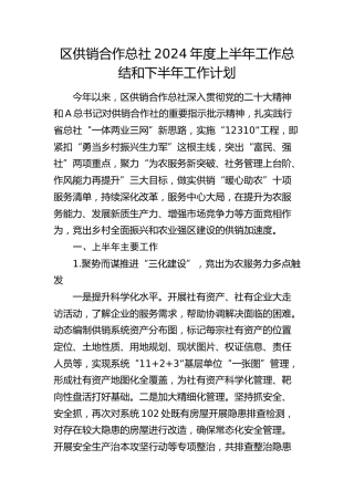 区供销合作总社上半年工作总结和下半年工作计划