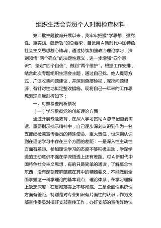 2023年度专题组织生活会党员个人对照检查2900字