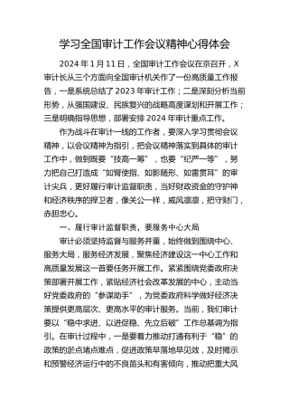 学习全国审计工作会议精神心得体会（发言）